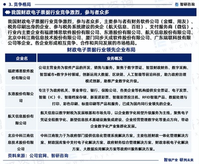 中國財政電子票據行業市場全景評估與深度分析研究報告